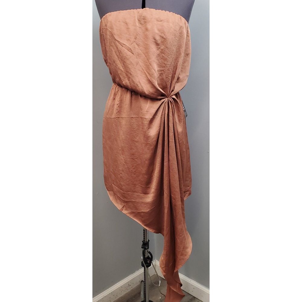 Express Rust Strapless Mini Dress